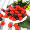 DIY Accessories Bright Color Realistic PVC Mulberry Branch Model Artificial Raspberry Fake Fruit Photography Props