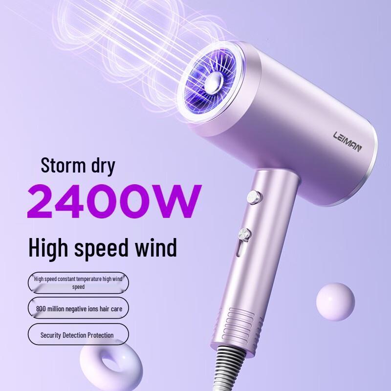 

Professional High-Speed Negative Ion Hair Dryer