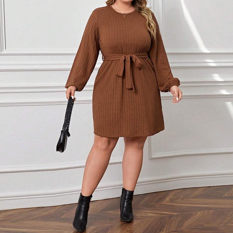 Plus Size Women High Waist Round Neck Puff Sleeve A Line Commute Dress