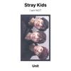 Stray Kids Ich bin KEINE offizielle Fotokarte