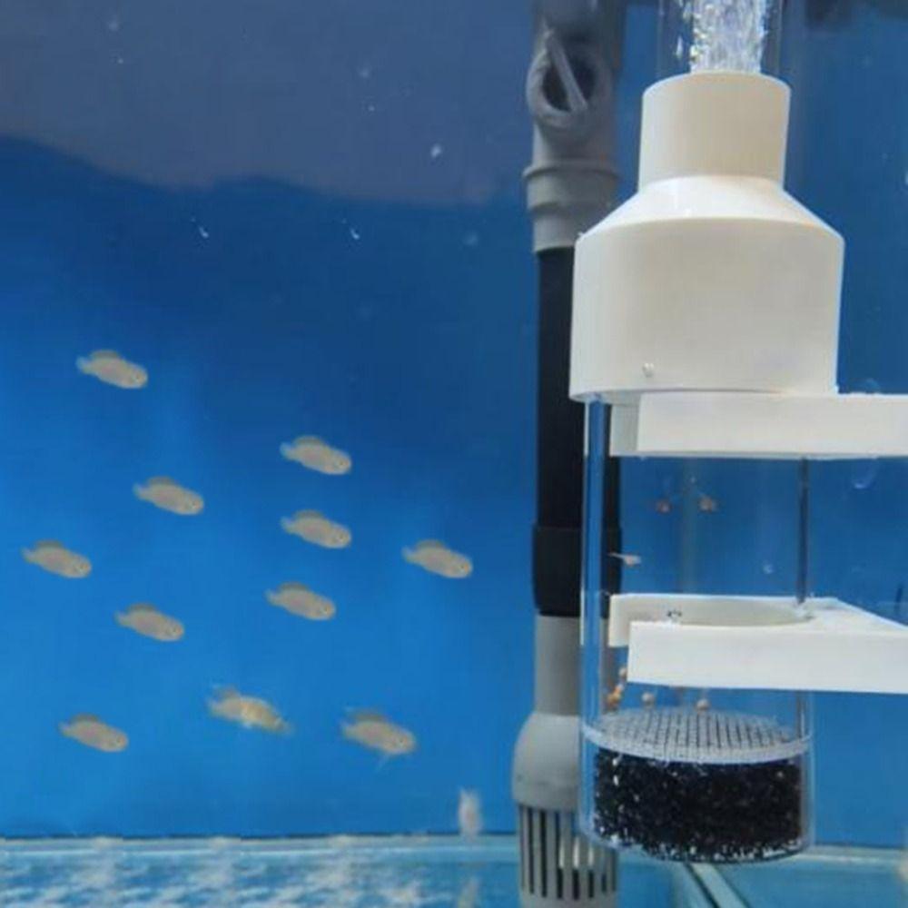 White Fish Egg Incubator Simulate Natural Incubation Fish Incubator  Aquariums