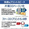 [New] Canon Laser Beam Printer Satera LBP171 Monochrome Continuous Printing 33 Sheets/Minute A4 M...