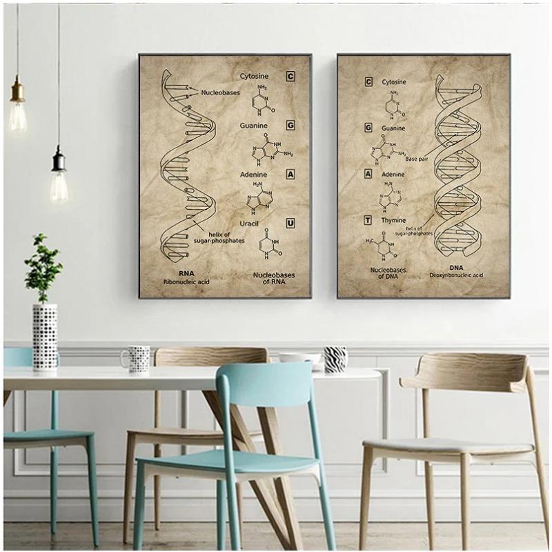 DNA und RNA Genetischer Code Wandkunst Leinwandbild Drucke Genetik Biochemie Studenten Geschenk Vintage Poster Wissenschaftliche Wanddekoration