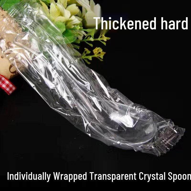 

ZISIZ Thickened Disposable Spoon
