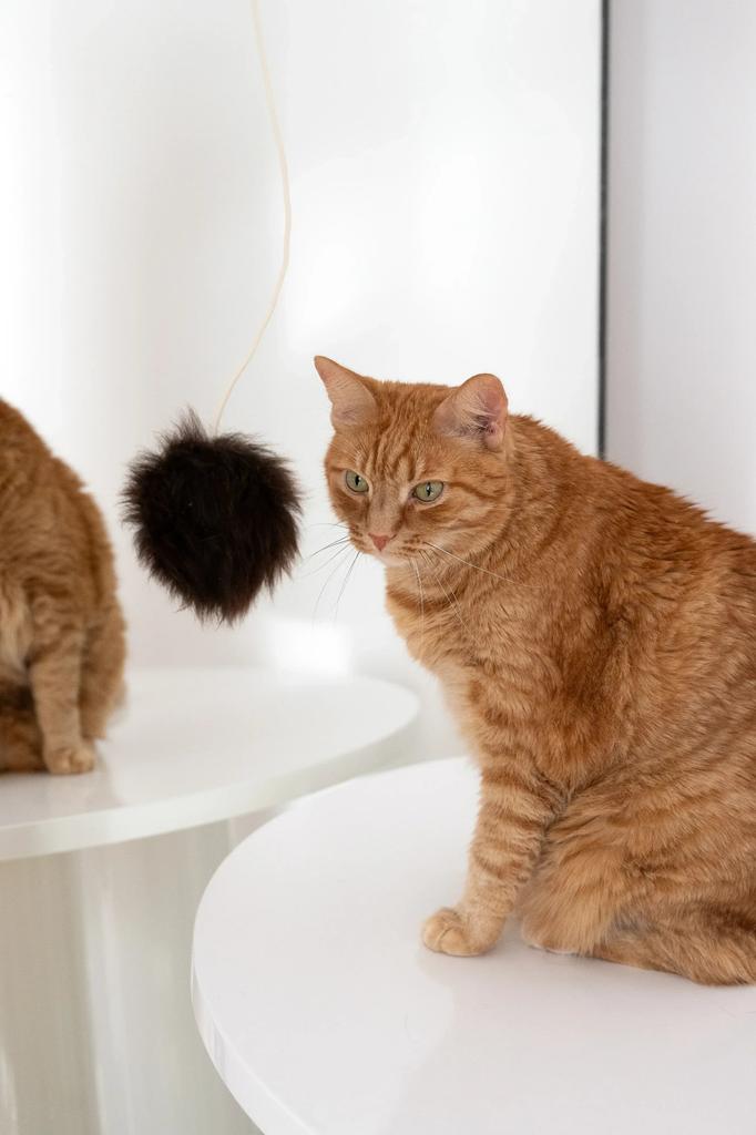 Natural Woolen Cat Toy: Ball String / Beige