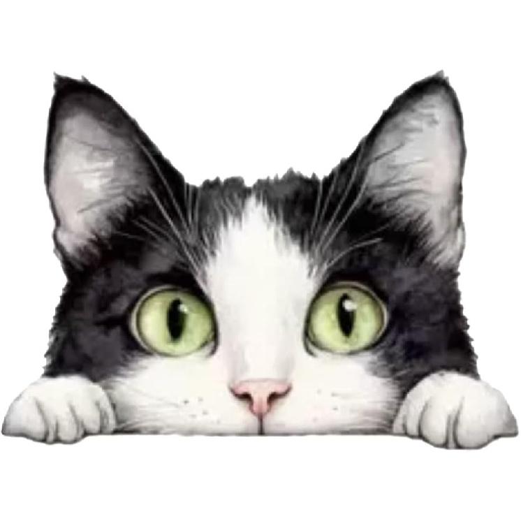 Peeping Cat Car Window Decal, Black and White, Waterproof Vinyl Sticker, 2-Pack,Suitable for Decorating car Bodies, Bumpers, Windows, Helmets,