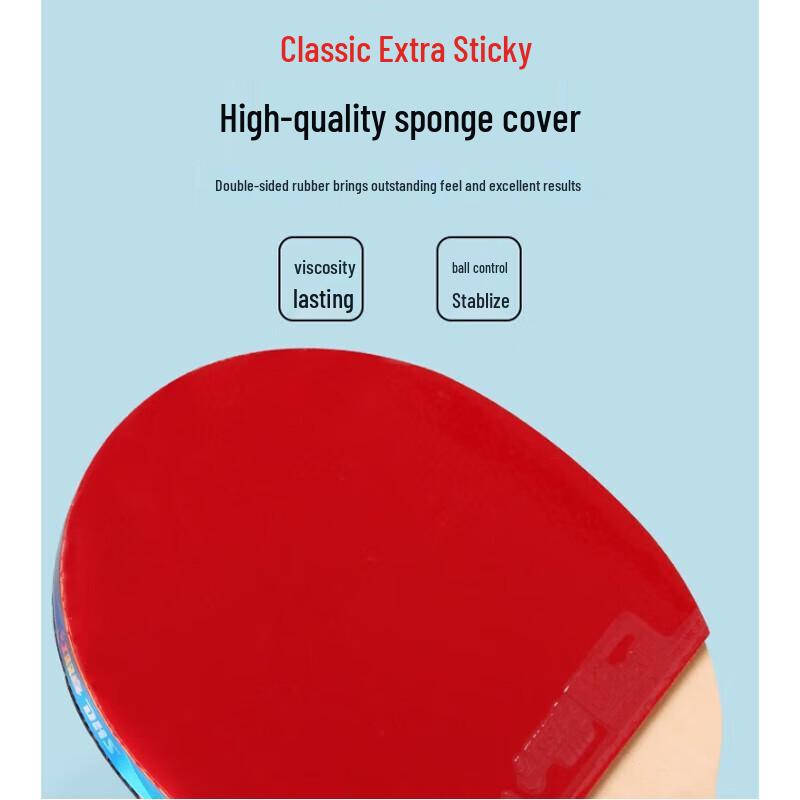 DHS Table Tennis Racket