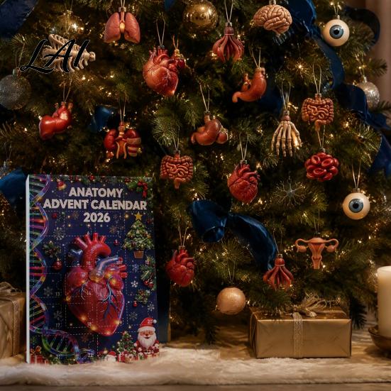 Medical Student Gift Anatomy Advent Calendars 2026 24 Days Organs Ornaments Christmas Countdown Calendar 2D Pendant Decoration Acrylic Human