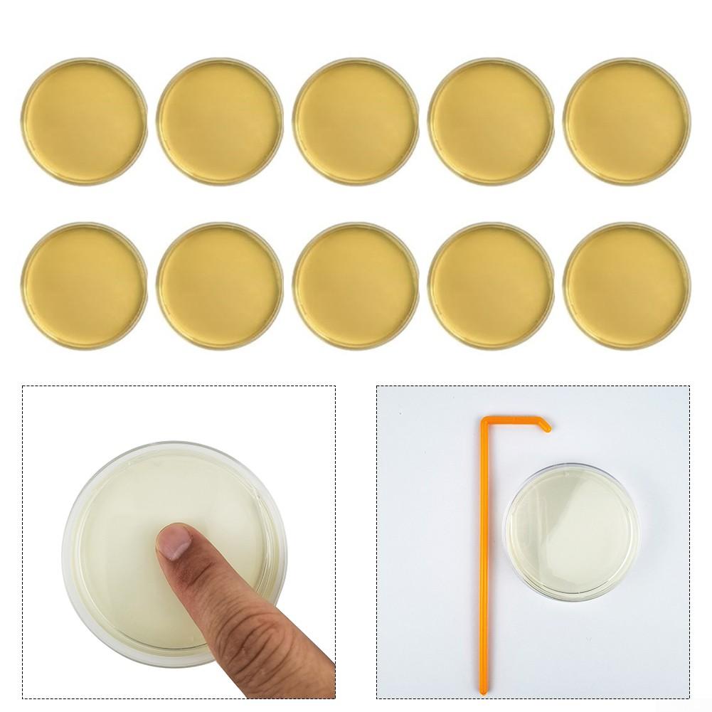 Reliable For Mold Detection In Homes Comprehensive DIY Kit Featuring 10 Tests