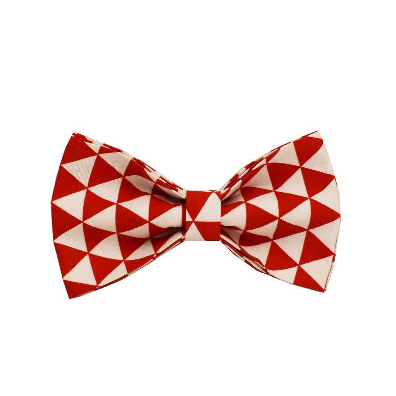 Red Triangle Dog Collar & Leash Set with Engraving Options
