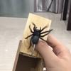 Funny Scare Box Prank Spider Wooden Fidget Anti-Stress Scare Toy Box  Play Trick Joke Surprise Adult Halloween Toys For Children