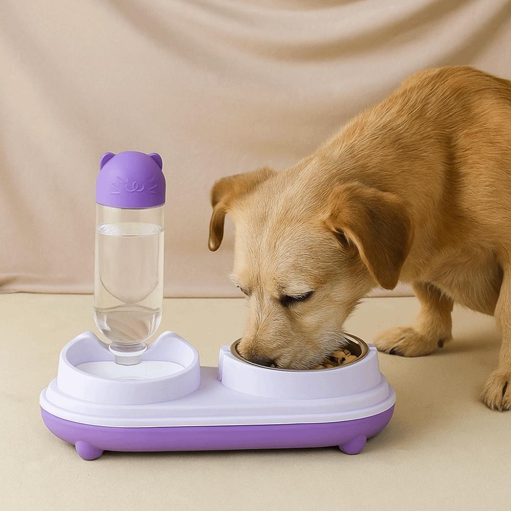 Dual Purpose Cat Drinking Bowls Spill Proof Cat Feeding Bowl Cat Double Bowl  Home