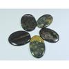 214Cts. Natural Ocean Jasper Oval Shape Cabochon Loose Gemstone 05 Pcs Lot C-311