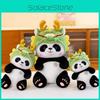 Panda Dragon Plush Toy With Dragon Hat Decoration For Kids Baby Sleep Comfort