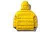 Li Ning Down Jacket Winter Women's Olive AYMP052-1