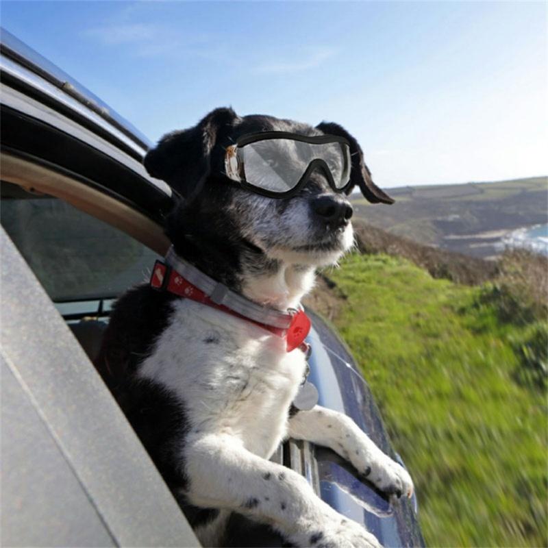 Waterproof Anti-snow Ultraviolet Dog Glasses Pet Eye Protection Goggles