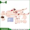 Longjue First Aid Wound Simulation Training Mannequin