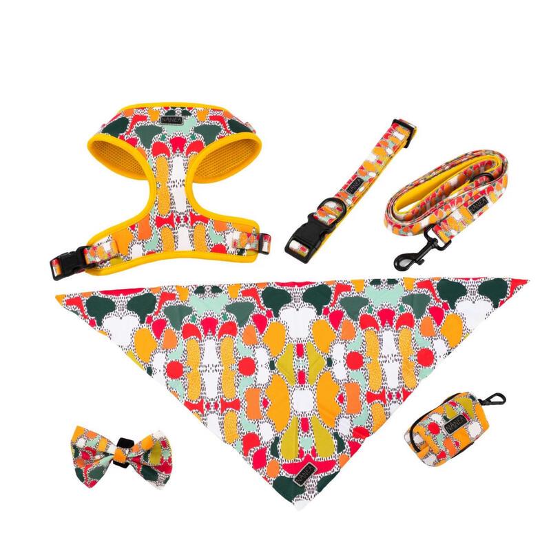 

WEZHO Dog Harness and Leash Set