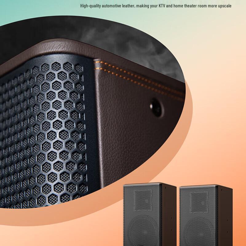 Songchuan SP101 Home KTV Professional Audio System CN Plug (adapter Included)