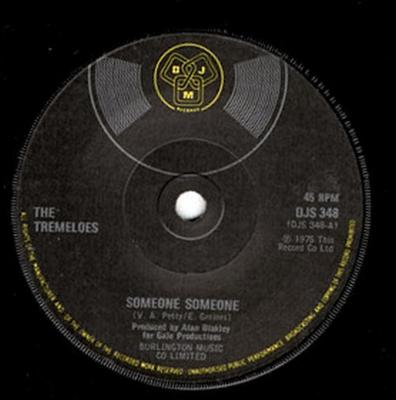 7-Zoll Schallplatte TREMELOES - Someone Someone DJS348 DJM Records 1975 UK Pop Gebraucht