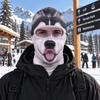 Windproof Balaclava Ski Mask 3D Printed Neck Gaiter Novelty Face Cover  Skiing