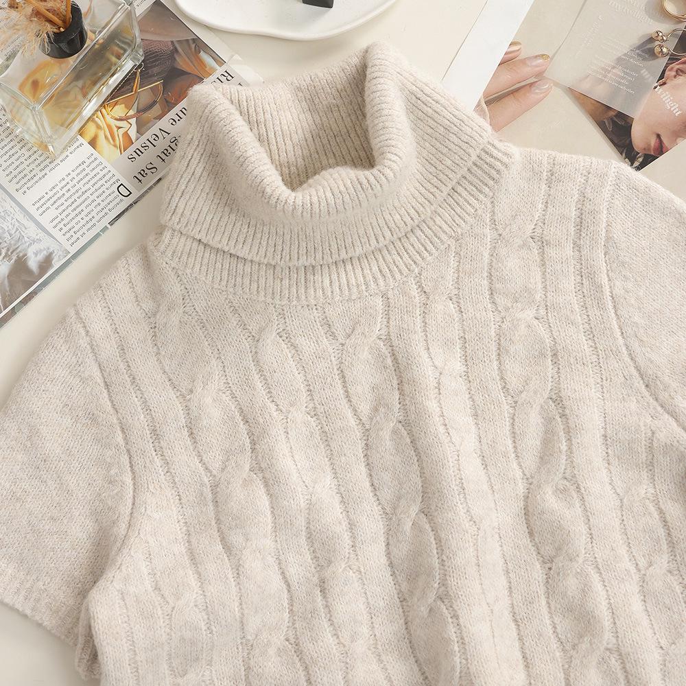 Women's Versatile Liu Liu Style High Neck Short Sleeve Knit Wool Sweater