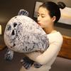 Fat Plush Foca Gorda Seal Toy Stuffed Animal Foca Guatona Peluche Soft Doll Sleeping Pillow Cute Sea Lion Doll Christmas Gift