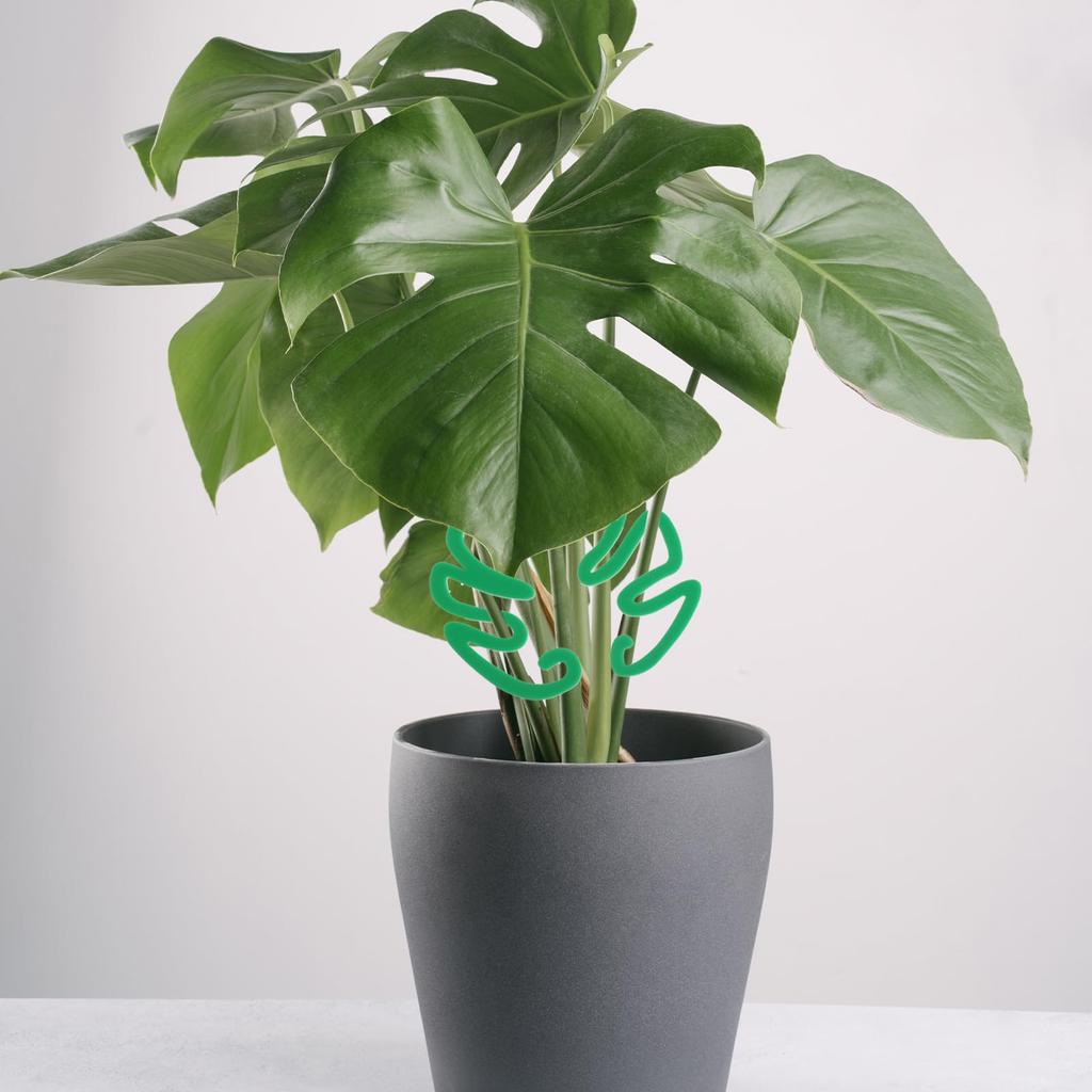 Plant Support Stakes Set of 2 Plastic Climbing Trellis Garden Plant Support Frame Growing Tool