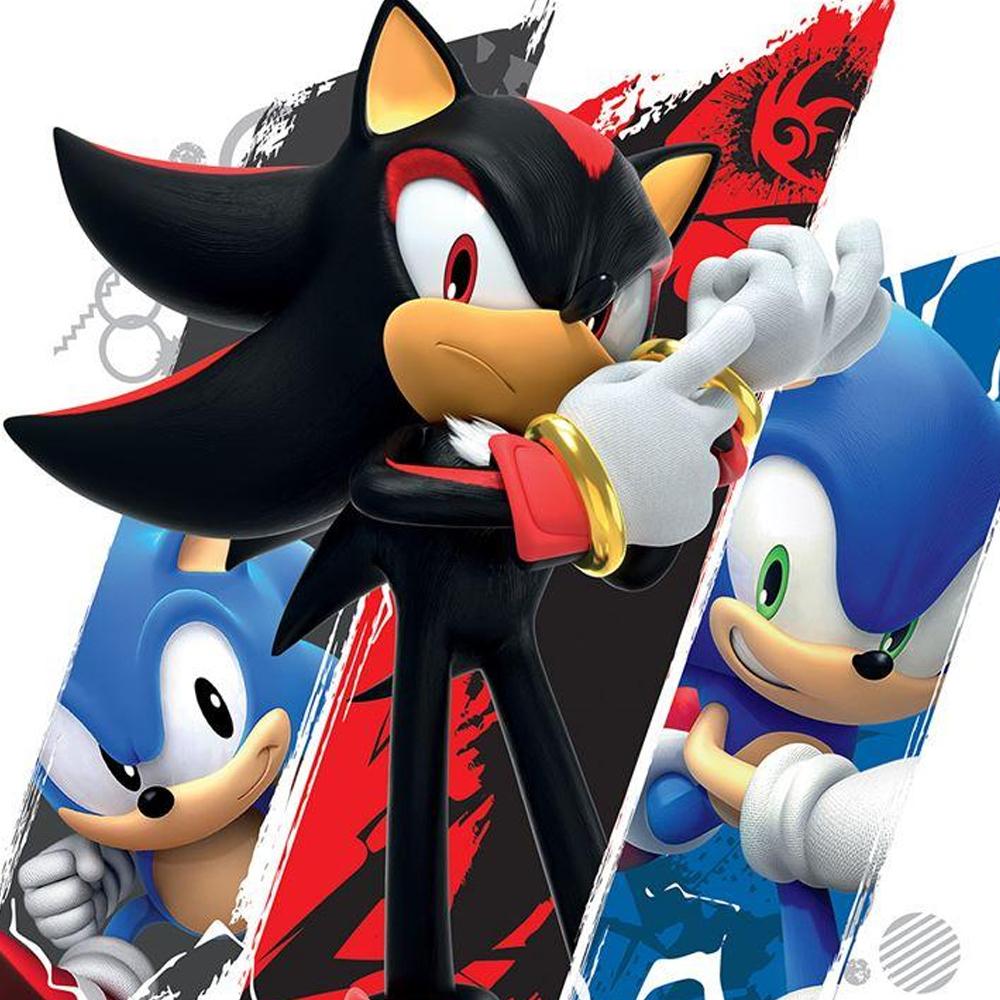 Sonic The Hedgehog Shadow & Sonic Druck