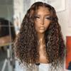 Loose Curly Synthetic Lace Front Wig 180% Density  Gold Mix Dark Brown Heat Resistant Fiber Pre Plucked For Women