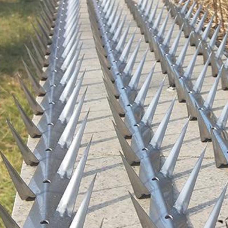 304 Stainless Steel Anti-Climb Wall Spikes