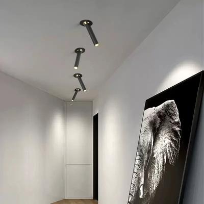 Modern LED Ceiling Point Lamp Angle Rotating  Ceiling Light For Indoor Exhibition Hall Kitchen Bedroom Tv Background Light Decor