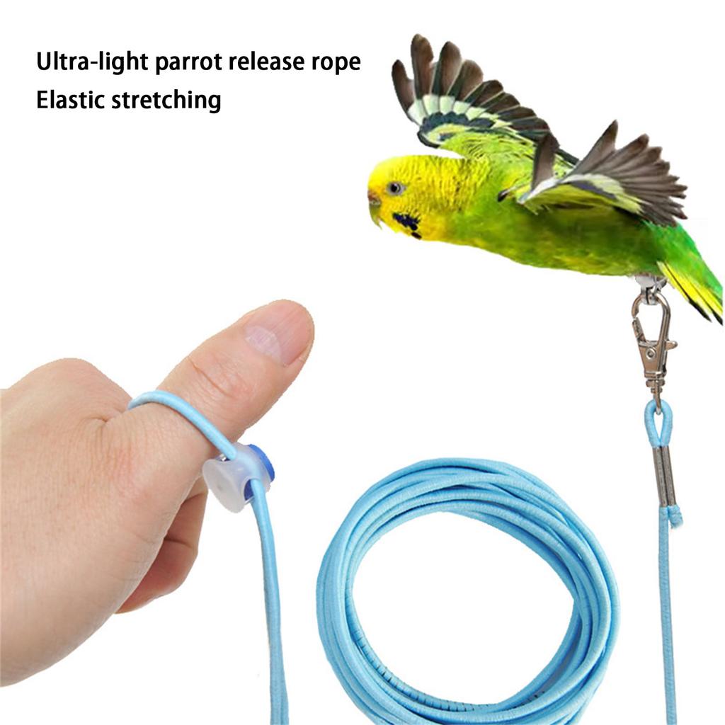 Vogelleine Für Kleine Vögel Papageien Outdoor 9,84 Fuß Elastische Haustier Vogelleine mit Verstellbarem Kordelzug Vogel Flugseil