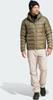 Adidas Terrex Multi Light Hooded Down Jacket Men olive strata