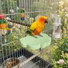 Wear Resistant Bird Resting Platform Bite Resistant Beak Grinding Stand Claw Sharpener  Sun Conure