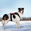 Dog Harness Soft Adjustable Dog Harness Vest Pet Chest And Back Fixation With Mounting Base Small Animal Accessories For