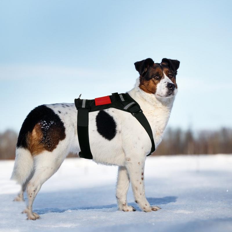 Dog Harness Soft Adjustable Dog Harness Vest Pet Chest And Back Fixation With Mounting Base Small Animal Accessories For