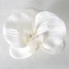 5pcs Simulated Film Butterfly Orchid Flower Head Petals Flower Accessories Headwear Hairclip Handmade Wedding Gift Decoration
