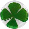 Real Four Leaf Clover Good Luck Pocket Token, Preserved, 1.25” (CLOVER01)