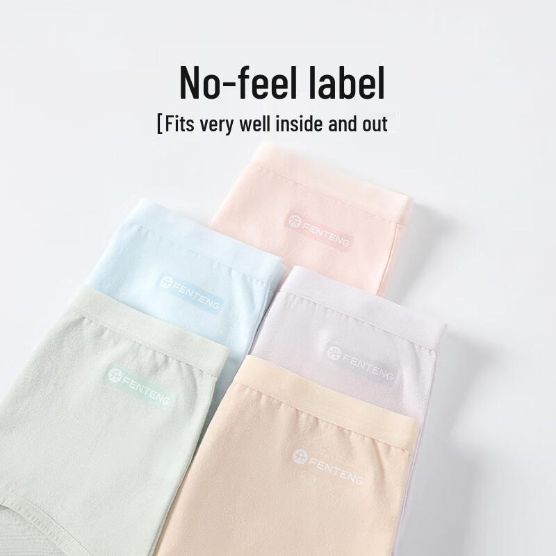 Fenteng Women's Pure Cotton 10A Antibacterial Briefs (4-Pack)