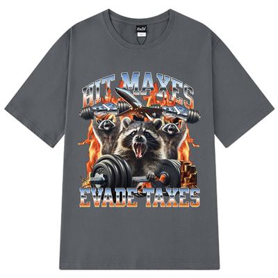 Hit Maxes Evade Taxes Funny Raccoon Meme T Shirt Men Women Fashion Vintage T-shirt Casual Cotton Short Sleeve Oversized T-shirts