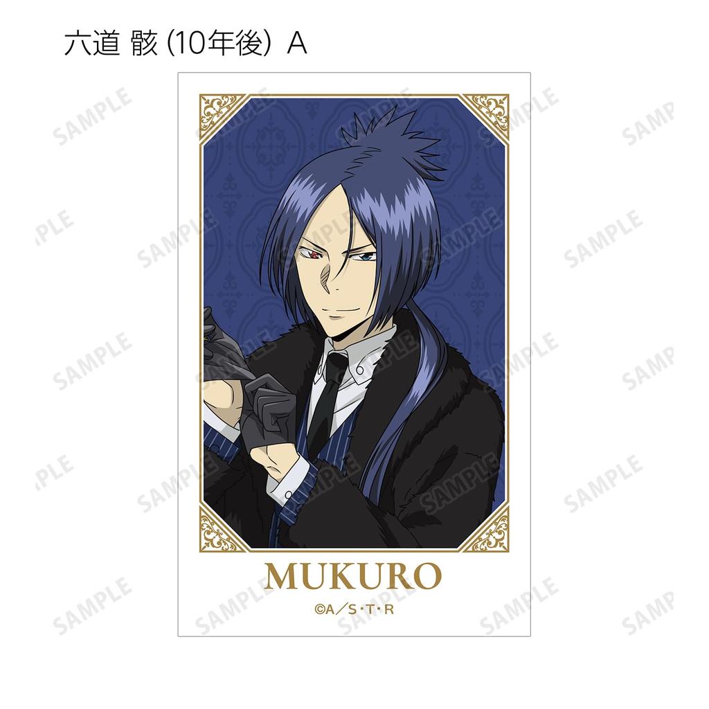 Katekyo Hitman Reborn Original Fur Coat X Suit Ver. Trading Illustration Cards Box of 20
