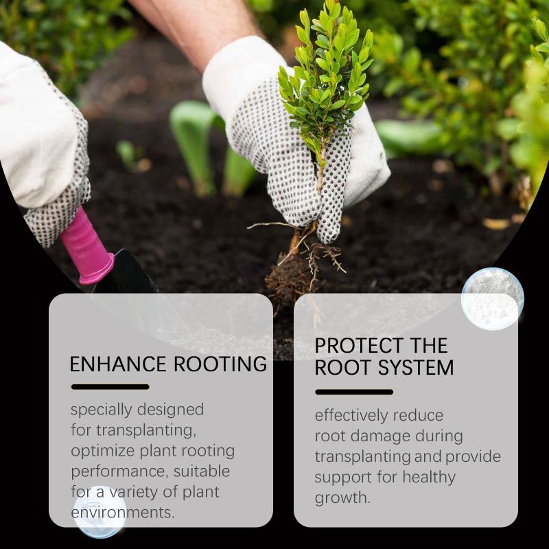 Fast Acting Rooting Powder Plant Hormone Boosts Cuttings Root Develops for Fruit Trees Nursery and Transplant Use