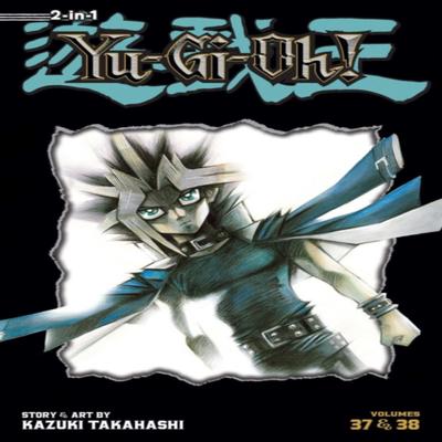 YuGiOh 2in1 Edition Vol. 13 by Kazuki Takahashi Paperback Book 9781421579368