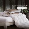 FUANNA Pure Cotton Goose Down Winter Quilt