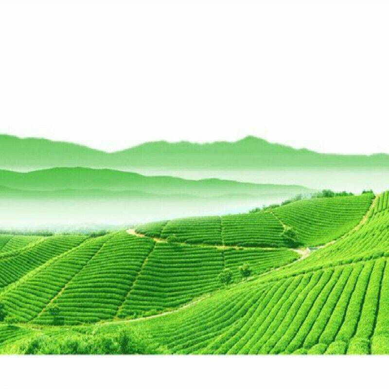 Чай Пуэр Чай Пуэр Ча Чайный торт Органический оздоровительный напиток Дайи 357г Юньнань — фото 14