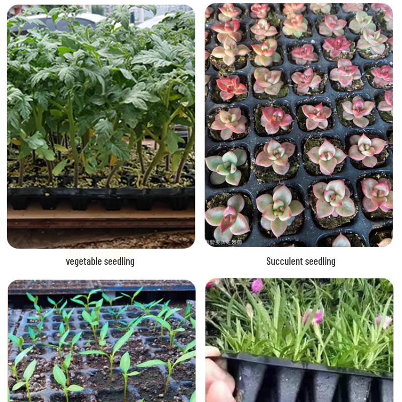 Maididuo 32-Cell Seedling Tray