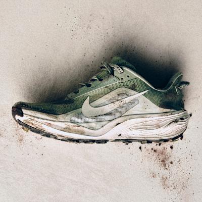 Nike ACG Pegasus Trail Jade Horizon Light Silver 44