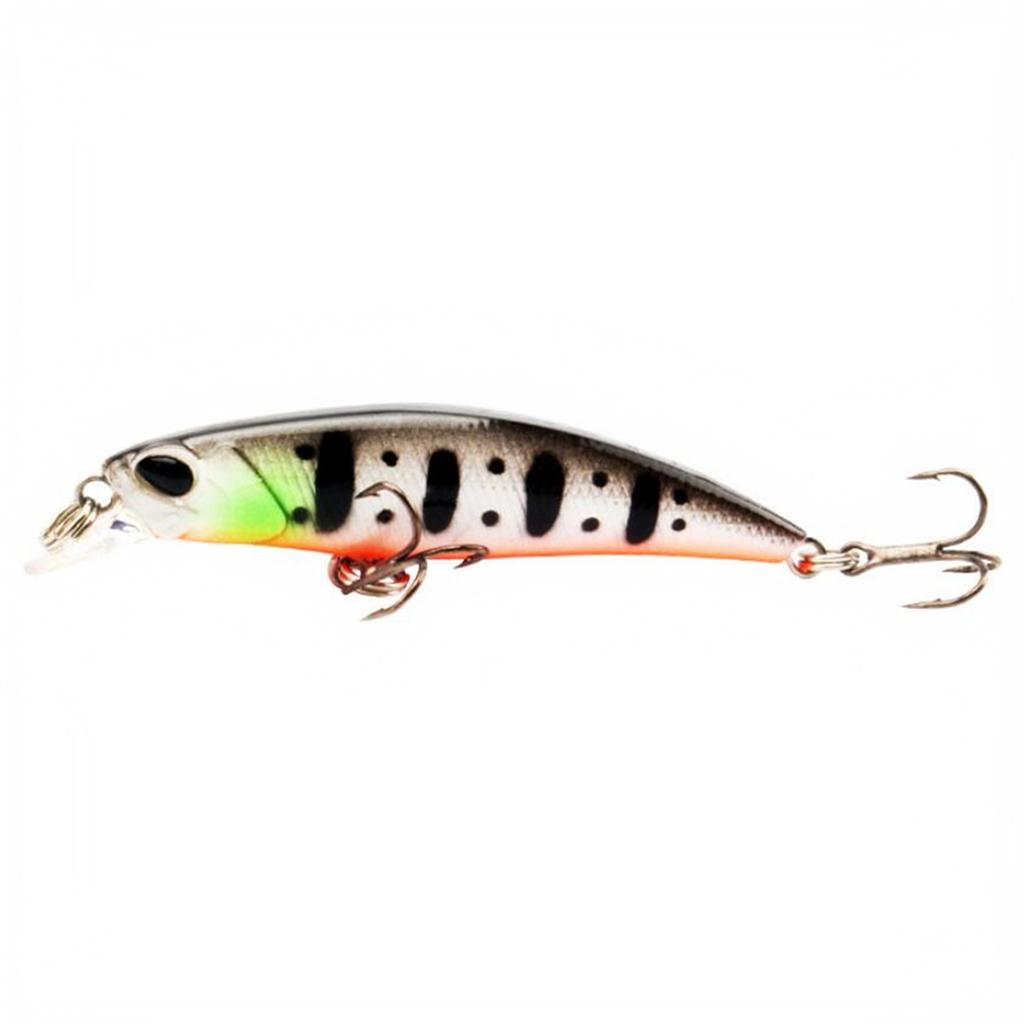 Sinking, Hard Plastic Fishing for and Fish