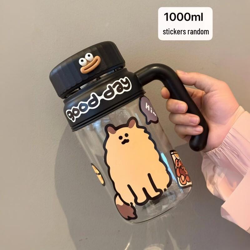 Large Capacity Glass Water Bottle with Handle and Tea Infuser